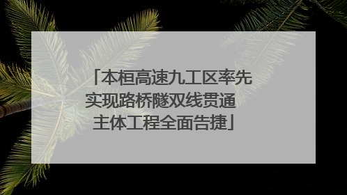 本桓高速九工区率先实现路桥隧双线贯通 主体工程全面告捷